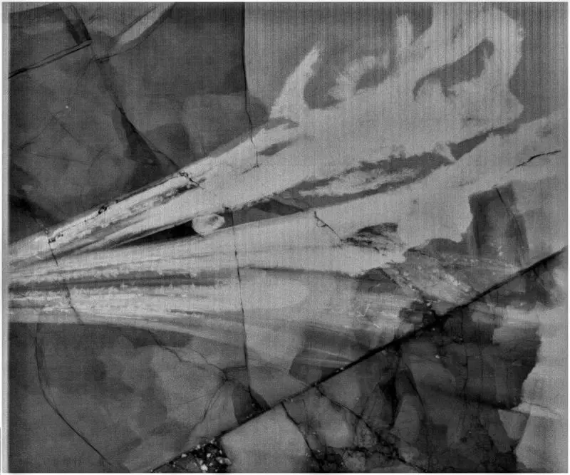 Präparation_#4-01_Ichthyosaurier_Holzmaden_01