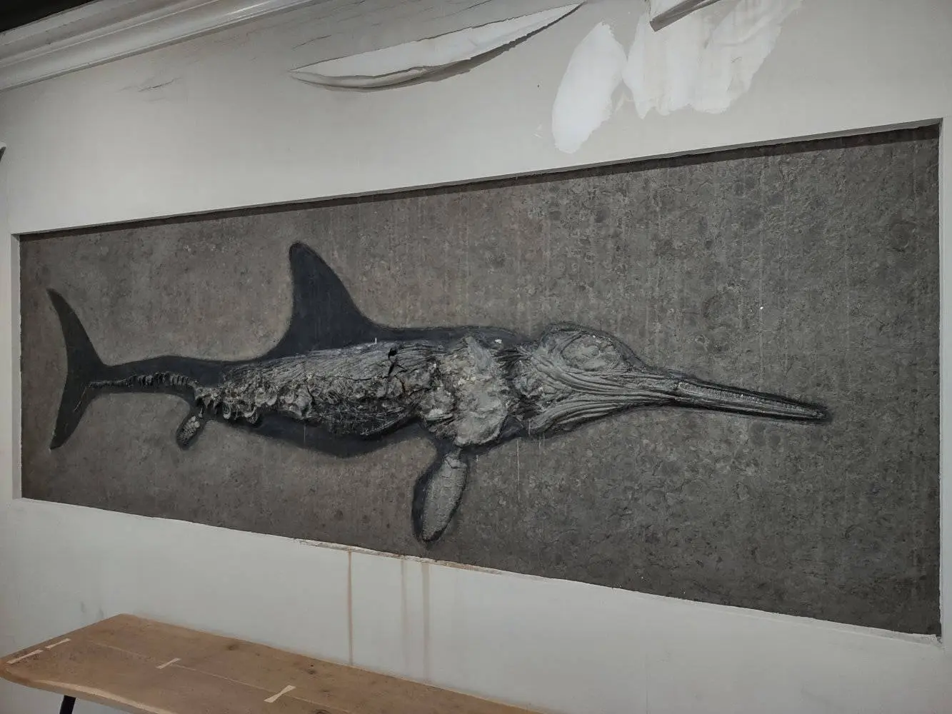 Restauration_Ichthyosaurier_Wasserschaden_Holzmaden_01