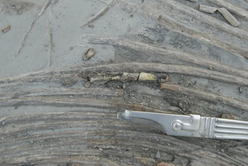 Holzmaden_Pyritzerfall_Abtrag_02c