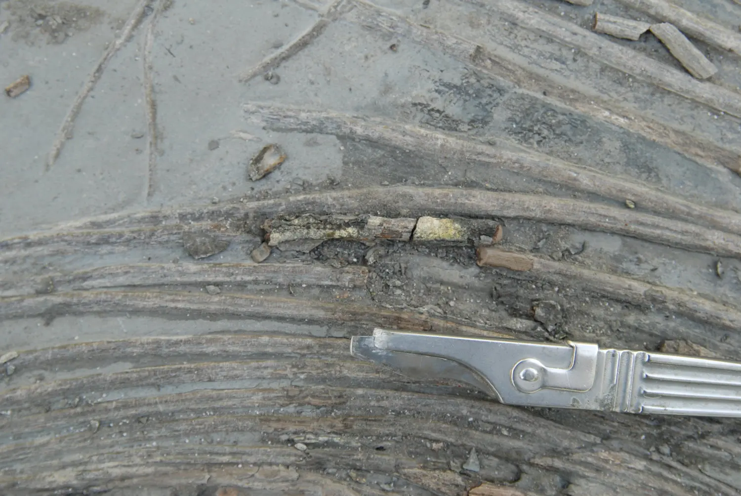 Holzmaden_Pyritzerfall_Abtrag_02c