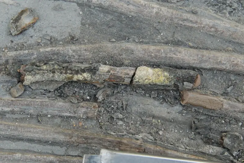 Holzmaden_Pyritzerfall_Abtrag_02d