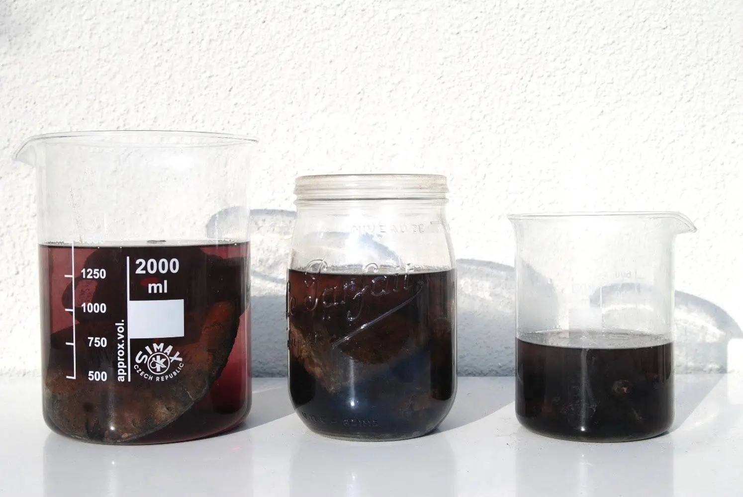 Präparation_Phylloceras_Holzmaden_04