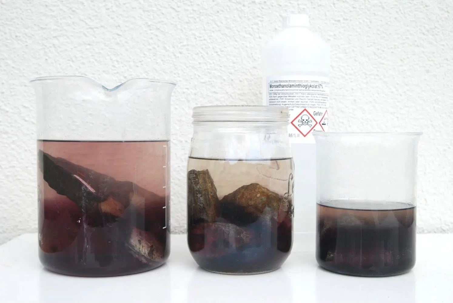 Präparation_Phylloceras_Holzmaden_05