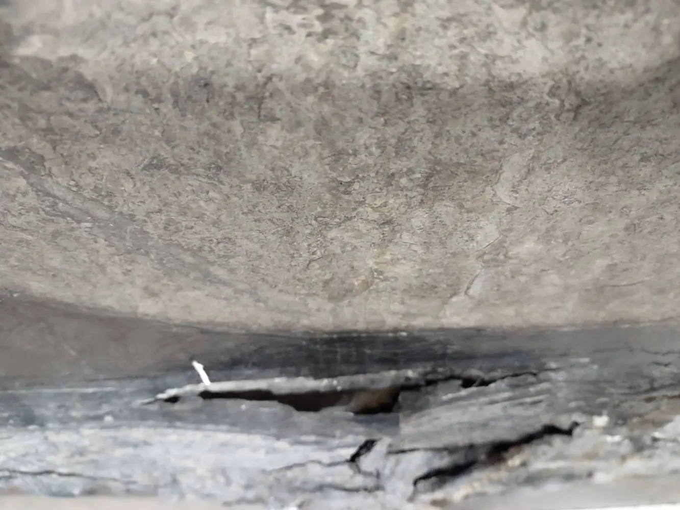 Restauration_Ichthyosaurier_Wasserschaden_Holzmaden_06