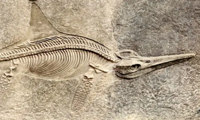 4.07_Fake_Ichthyosaurus_Holzmaden