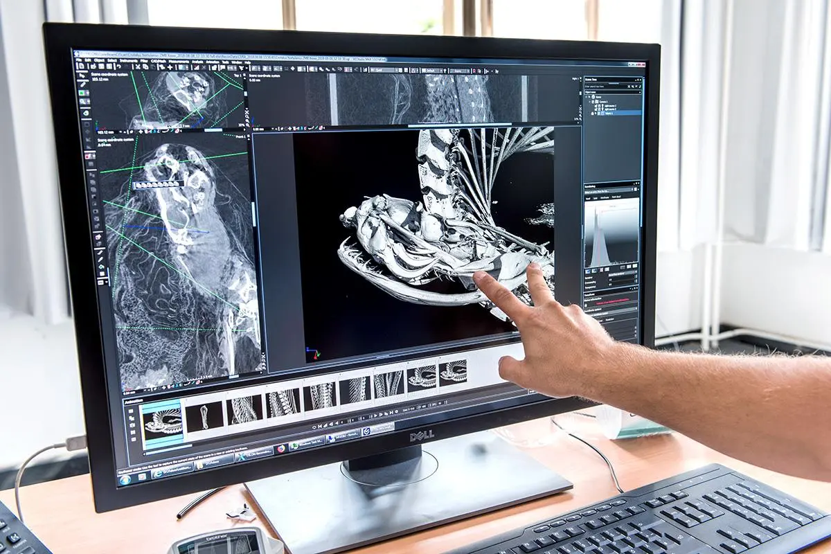 Holzmaden_MNB_Computertomograf