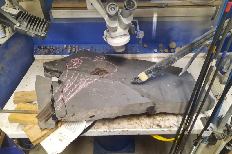 Präparation_#2_Ichthyosaurier_Holzmaden_01