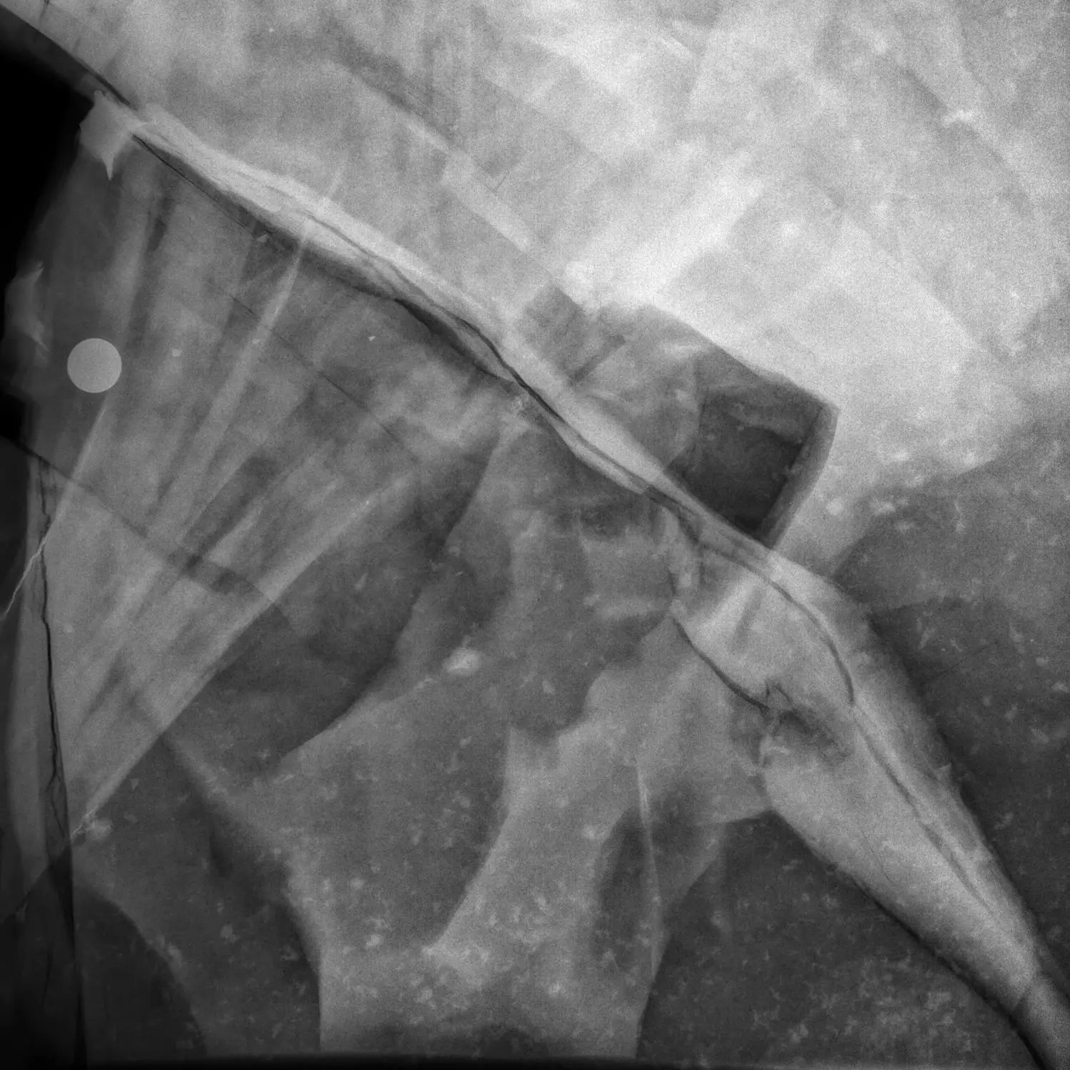 Präparation_#2_Ichthyosaurier_Holzmaden_07