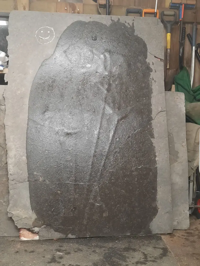 Präparation_#3_Seirocrinus_Holzmaden_01