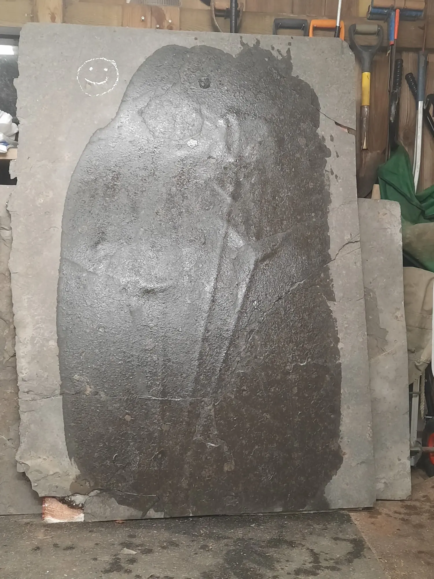 Präparation_#3_Seirocrinus_Holzmaden_01